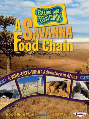 cover image of A Savanna Food Chain
